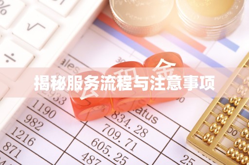 东城揭秘服务流程与注意事项