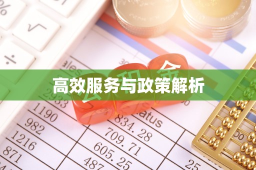 东城高效服务与政策解析