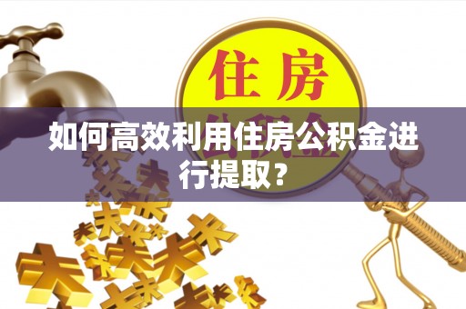 东城如何高效利用住房公积金进行提取？