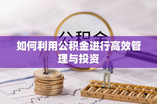 东城如何利用公积金进行高效管理与投资