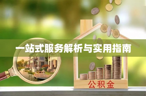 东城一站式服务解析与实用指南