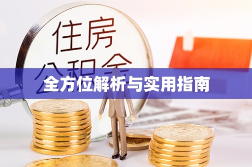 东城全方位解析与实用指南