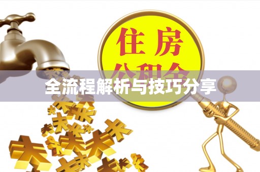 东城全流程解析与技巧分享